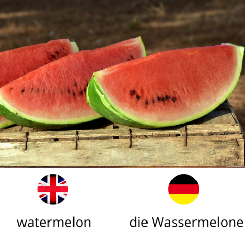 Watermelon, die Wassermelone