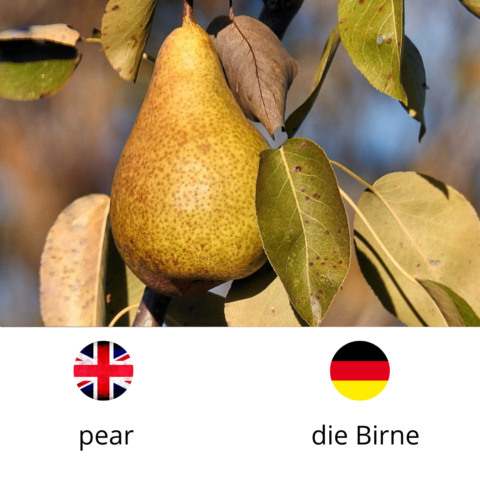 Pear, die Birne
