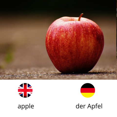 Apple, der Apfel
