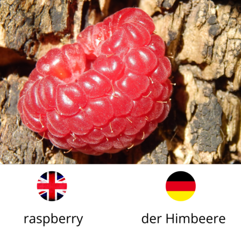 Raspberry, der Himbeere