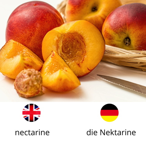 Nectarine, die Nektarine