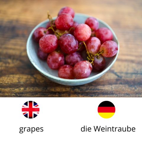Grapes, die Weintraube